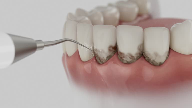 Reliable Dental contractor in Inglis, FL by Dentist Open Now